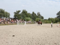 IMG_1415_web